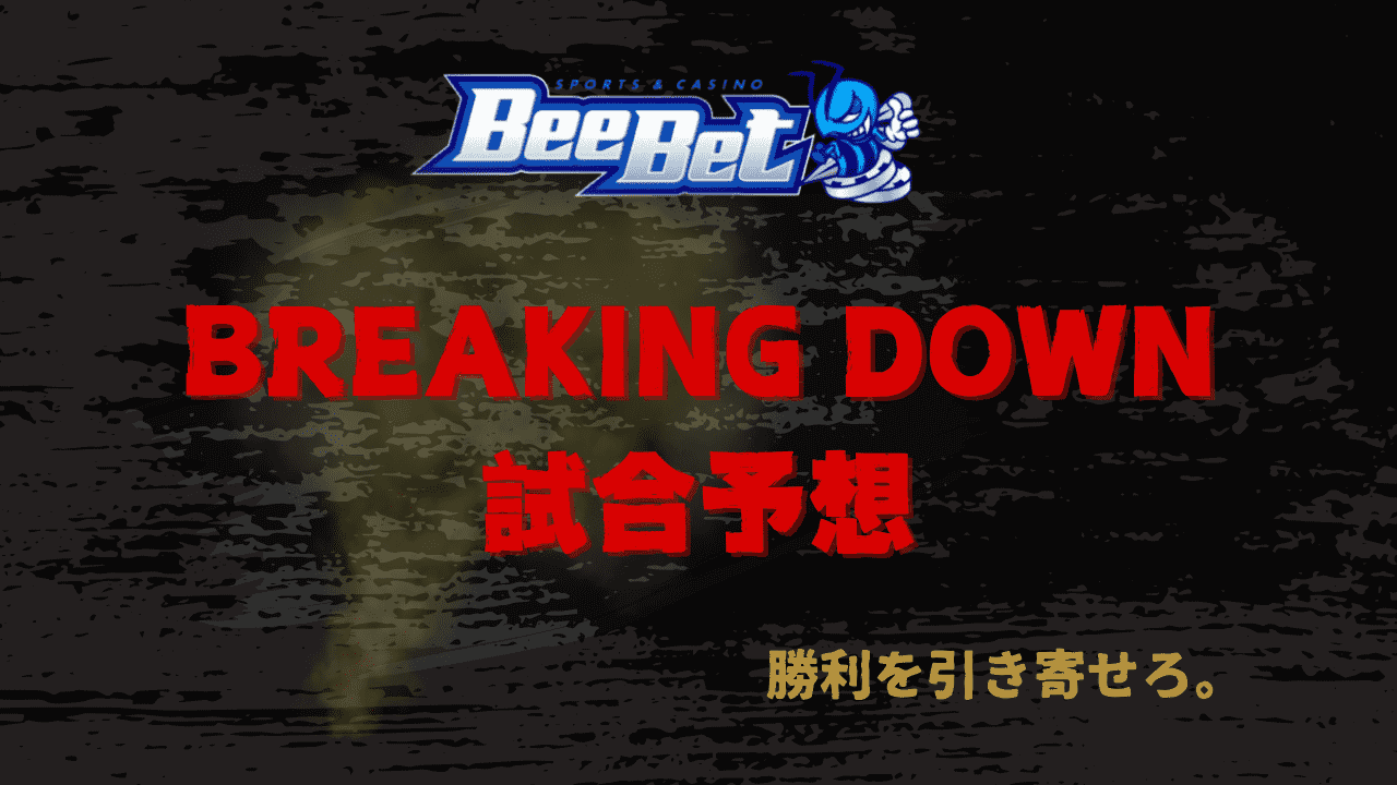 BeeBet BREAKINGDOWN12　試合予想